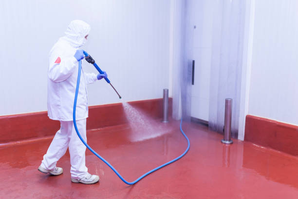 Animal Enclosure Cleaning in Gamerco, NM